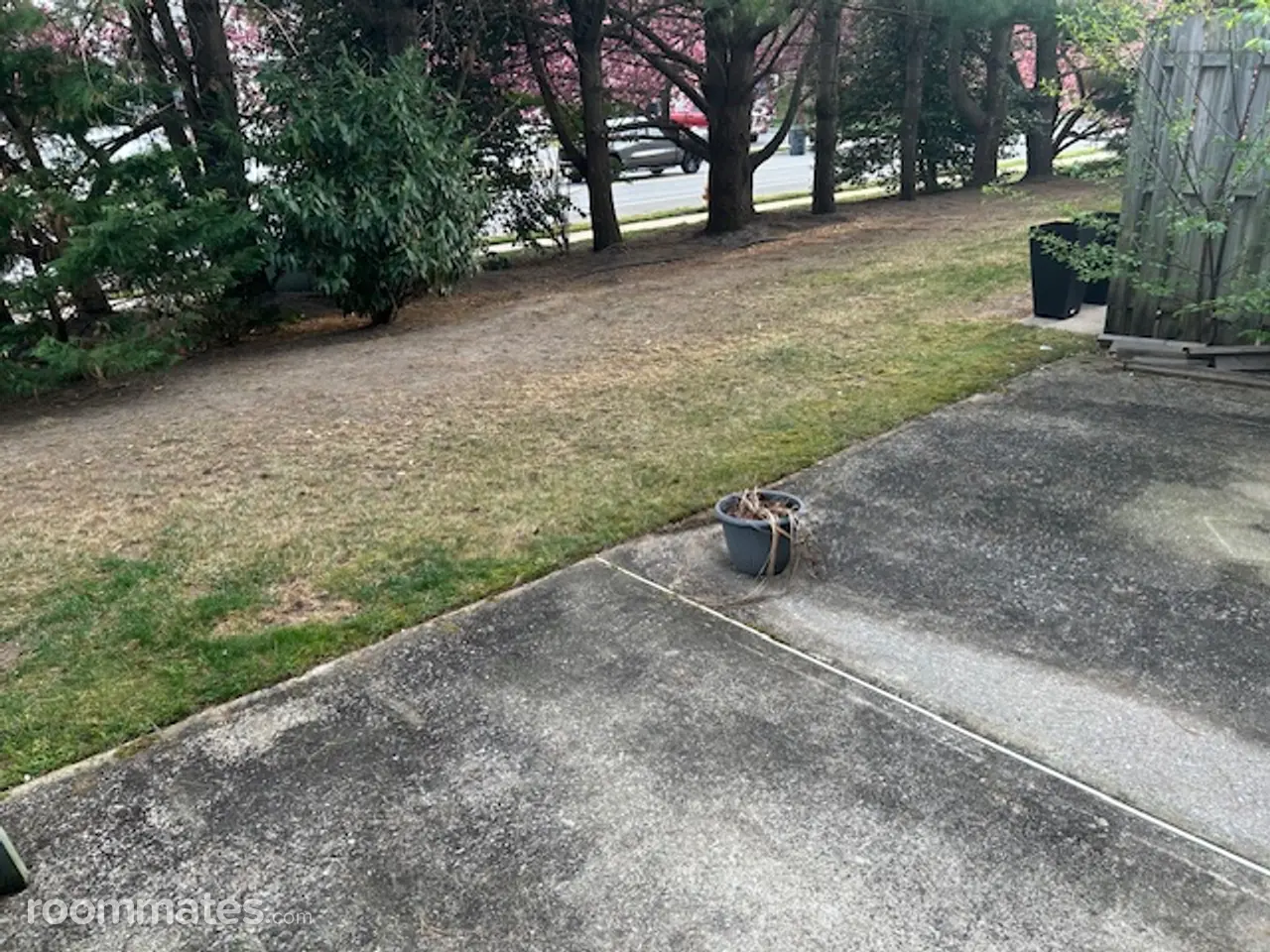 Profile photo 4 of 6