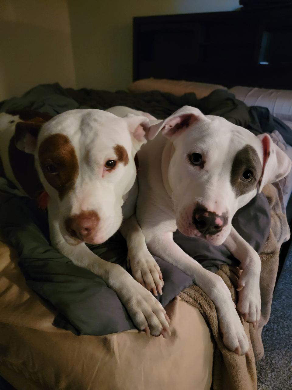 Profile photo 8 of 9