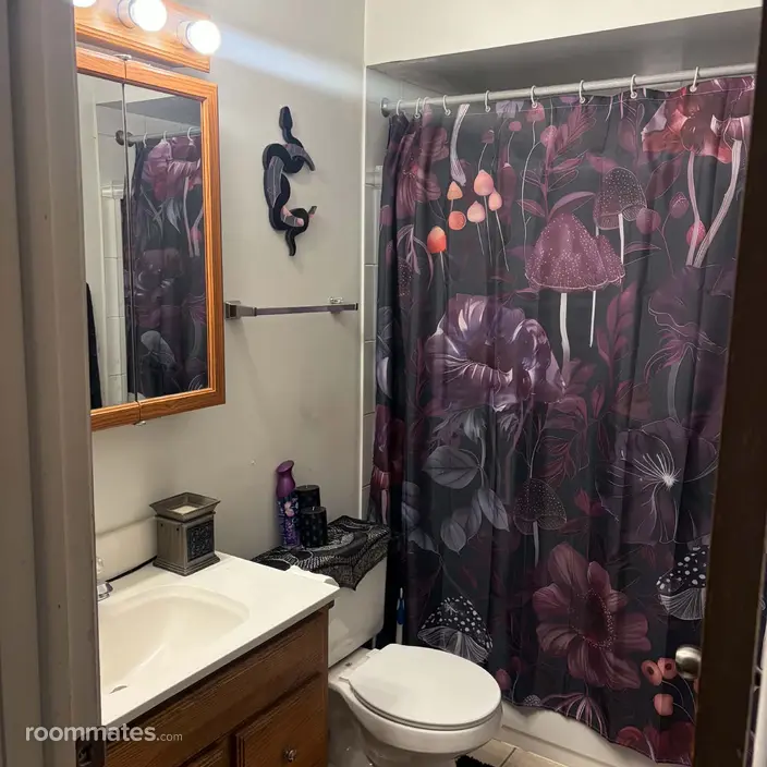 Room for rent in Oak Forest, IL $550, apartment