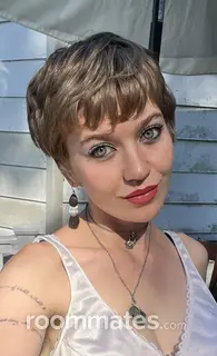 Roommate looking Asheville, NC, $900