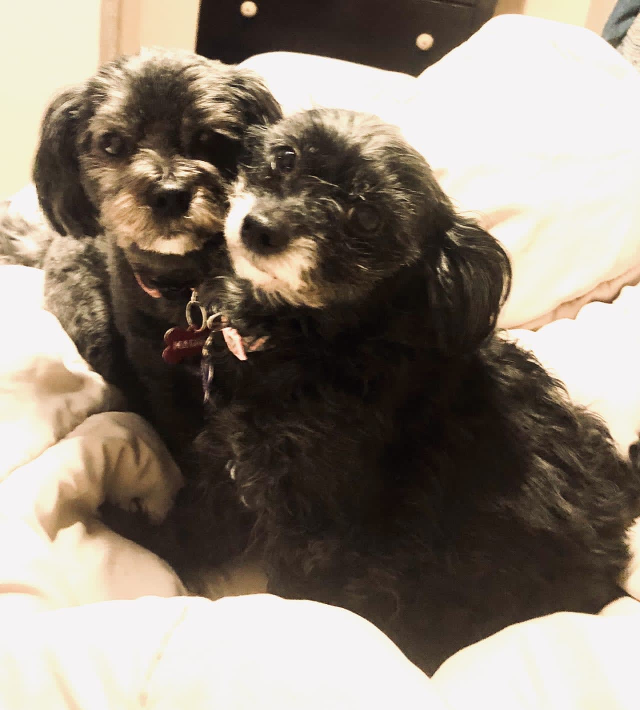 Profile photo 2 of 2