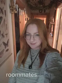 Roommate looking Pittsburgh, PA, $900