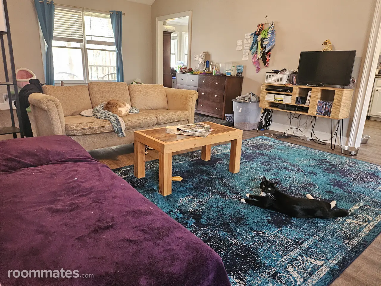 Profile photo 1 of 7