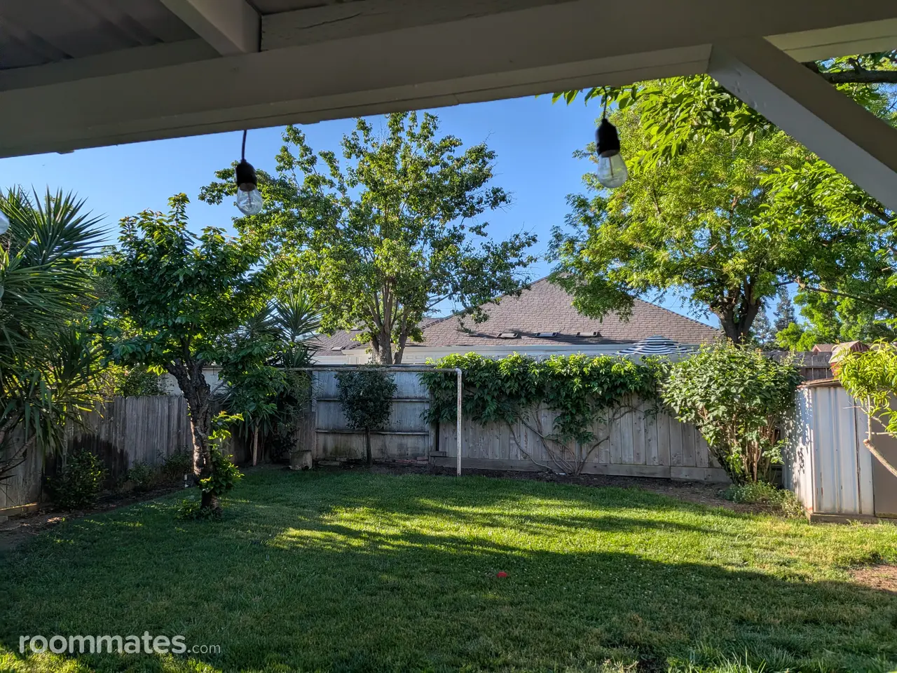 Profile photo 6 of 18