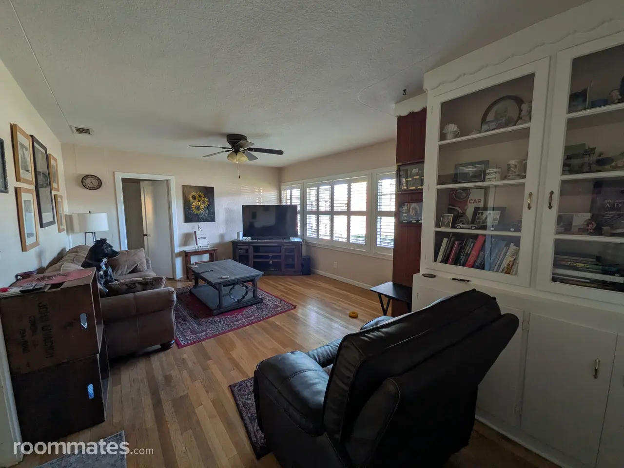 Profile photo 4 of 18