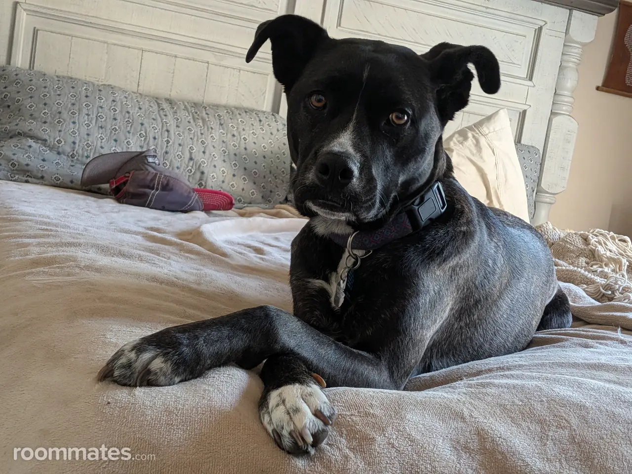 Profile photo 7 of 18