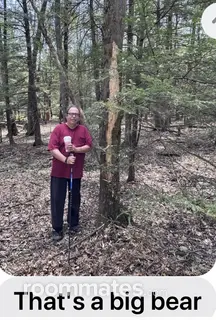 Roommate looking Andreas, PA, $800