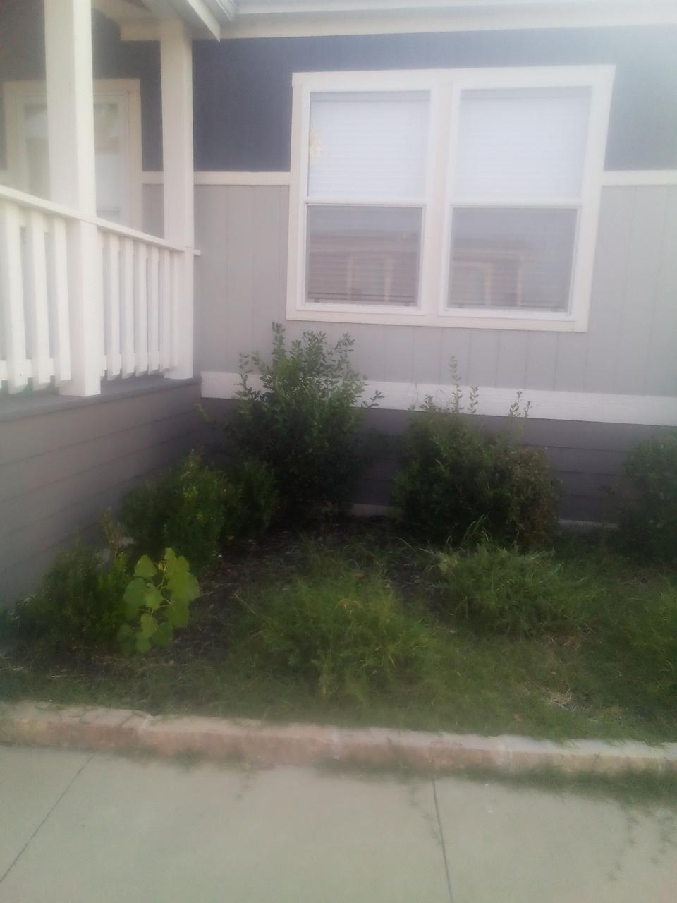 Profile photo 4 of 6