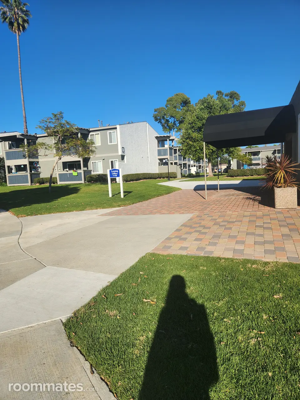 Profile photo 2 of 8