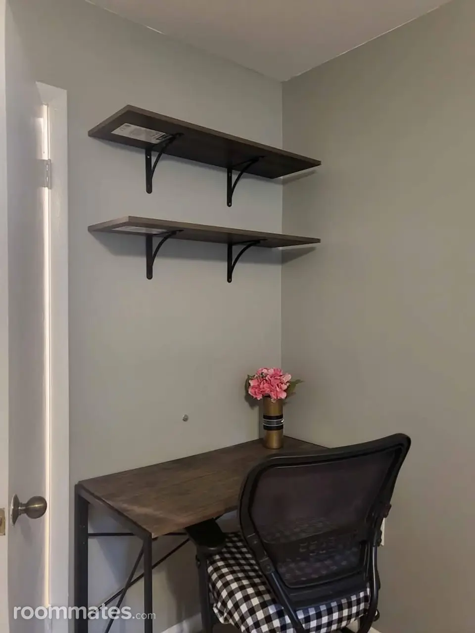 Profile photo 4 of 11