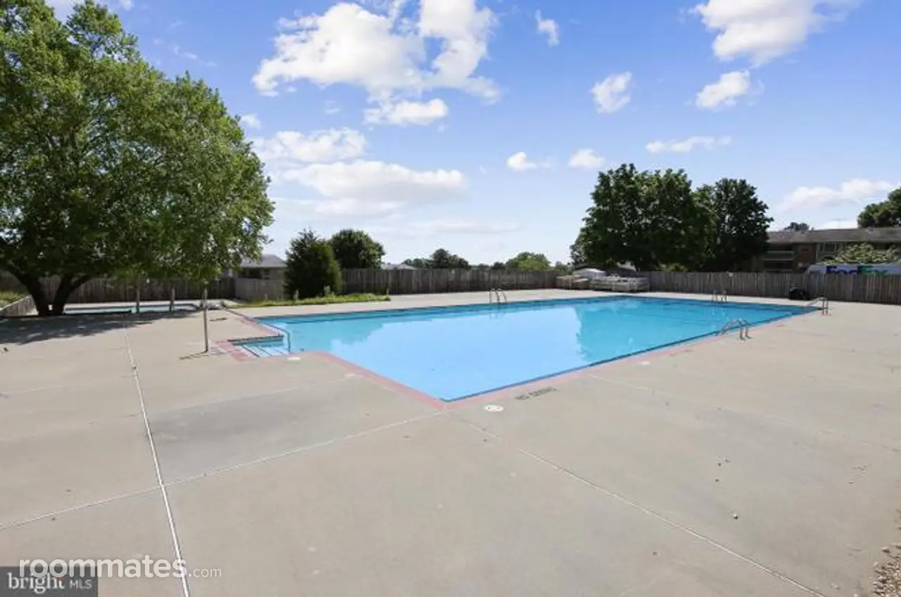 Profile photo 10 of 11