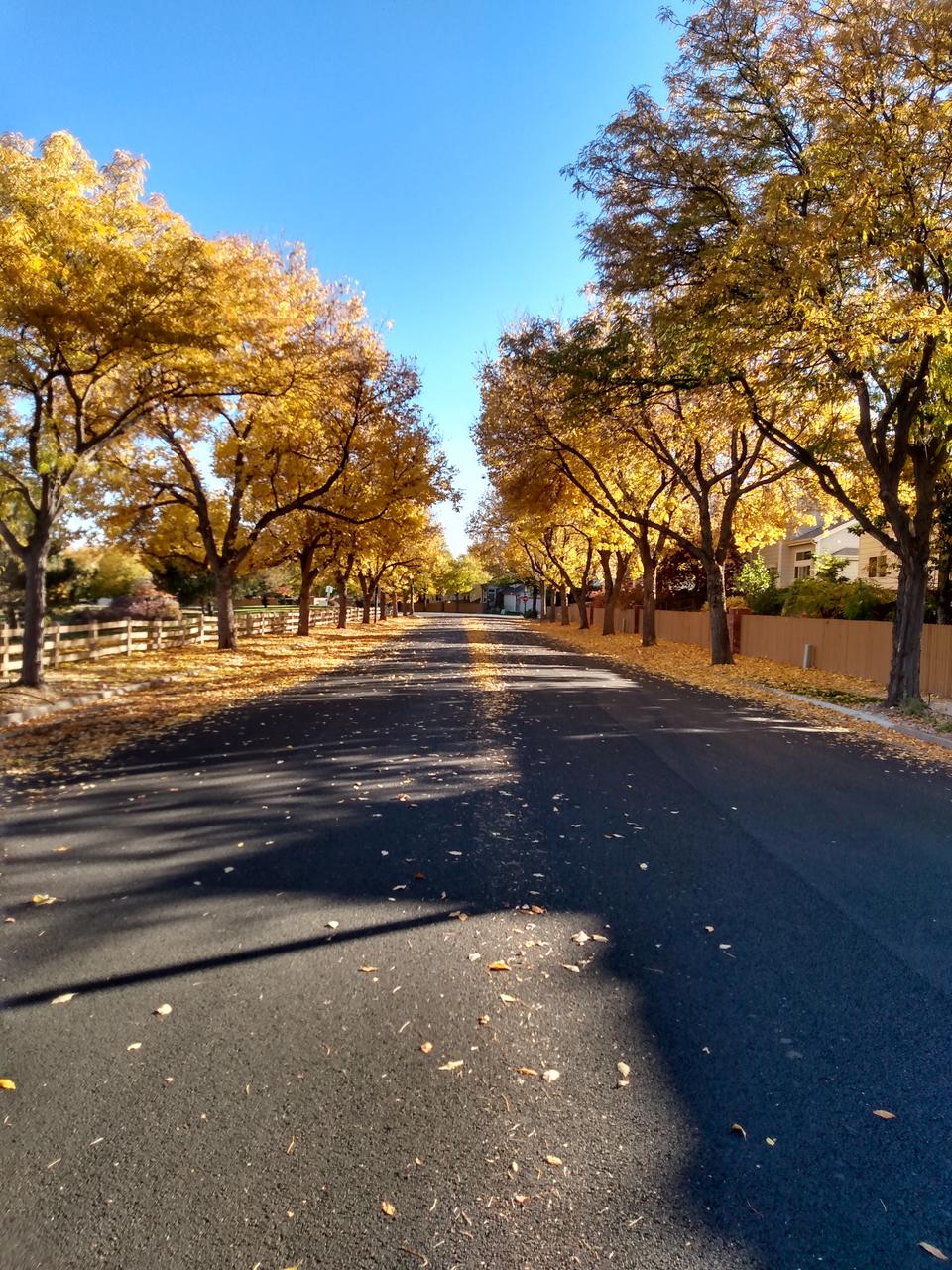 Profile photo 4 of 4