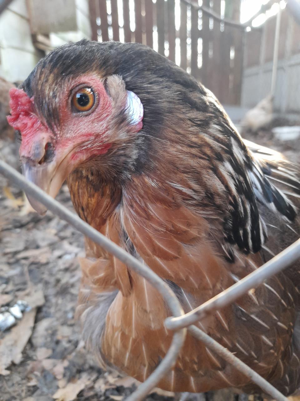 Profile photo 2 of 2