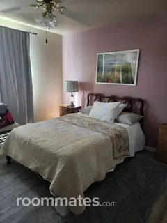 Roommate looking Colorado Springs, CO, $800