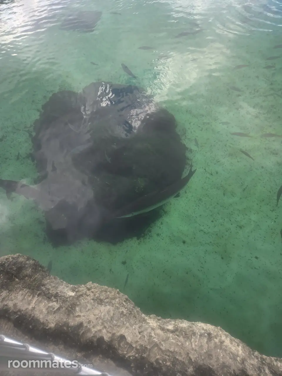 Profile photo 14 of 14