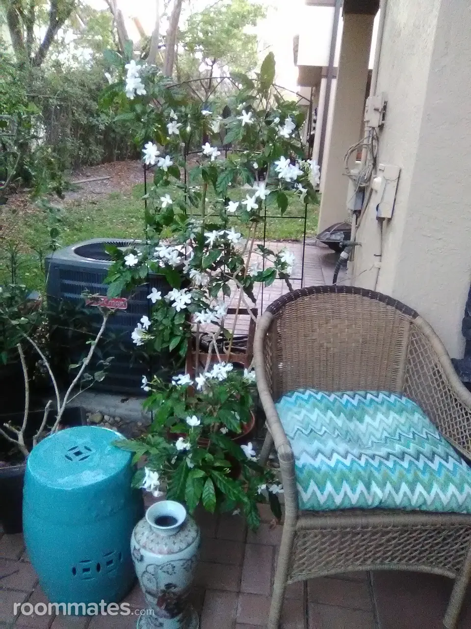 Profile photo 15 of 19