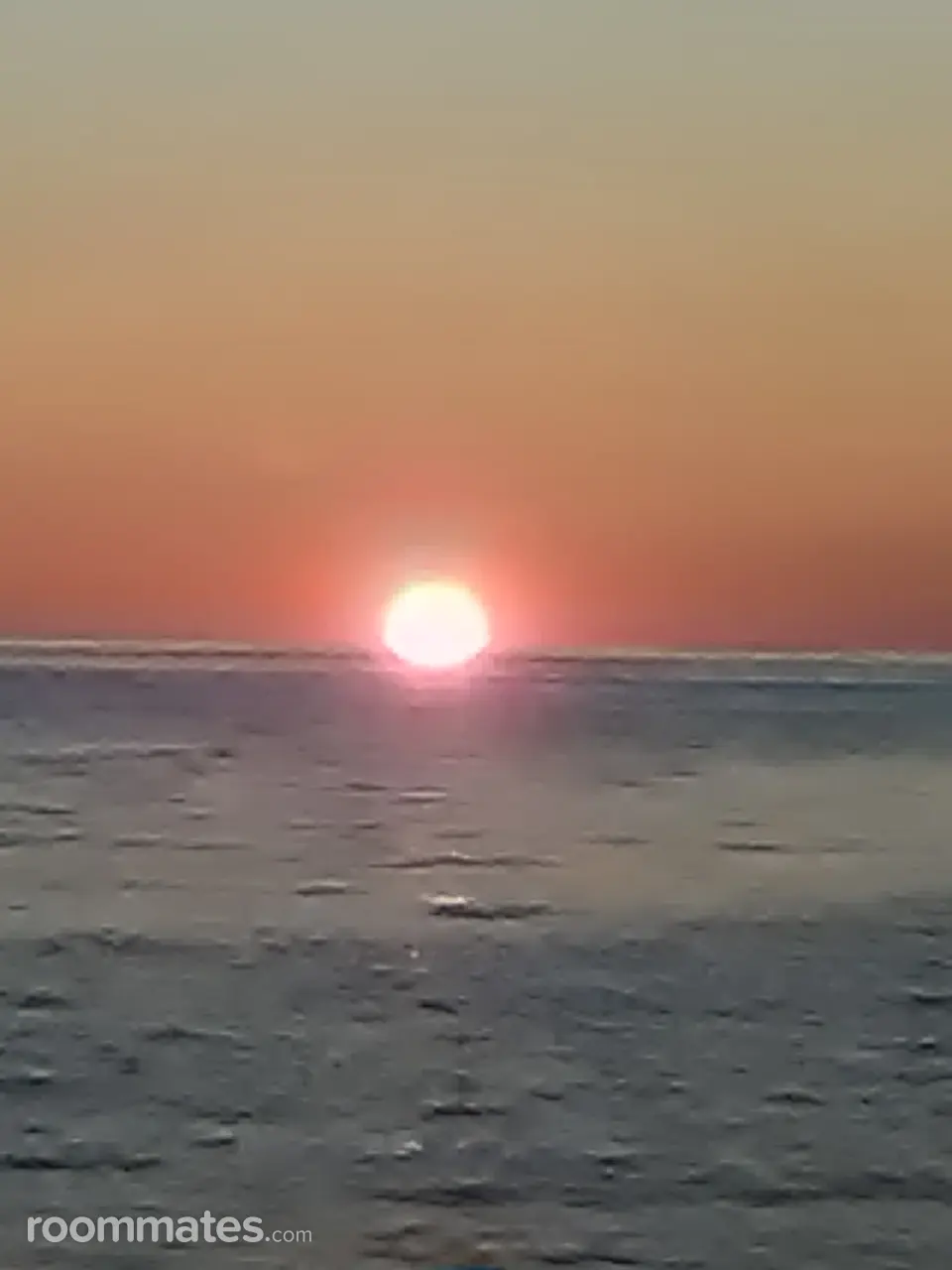 Profile photo 18 of 19