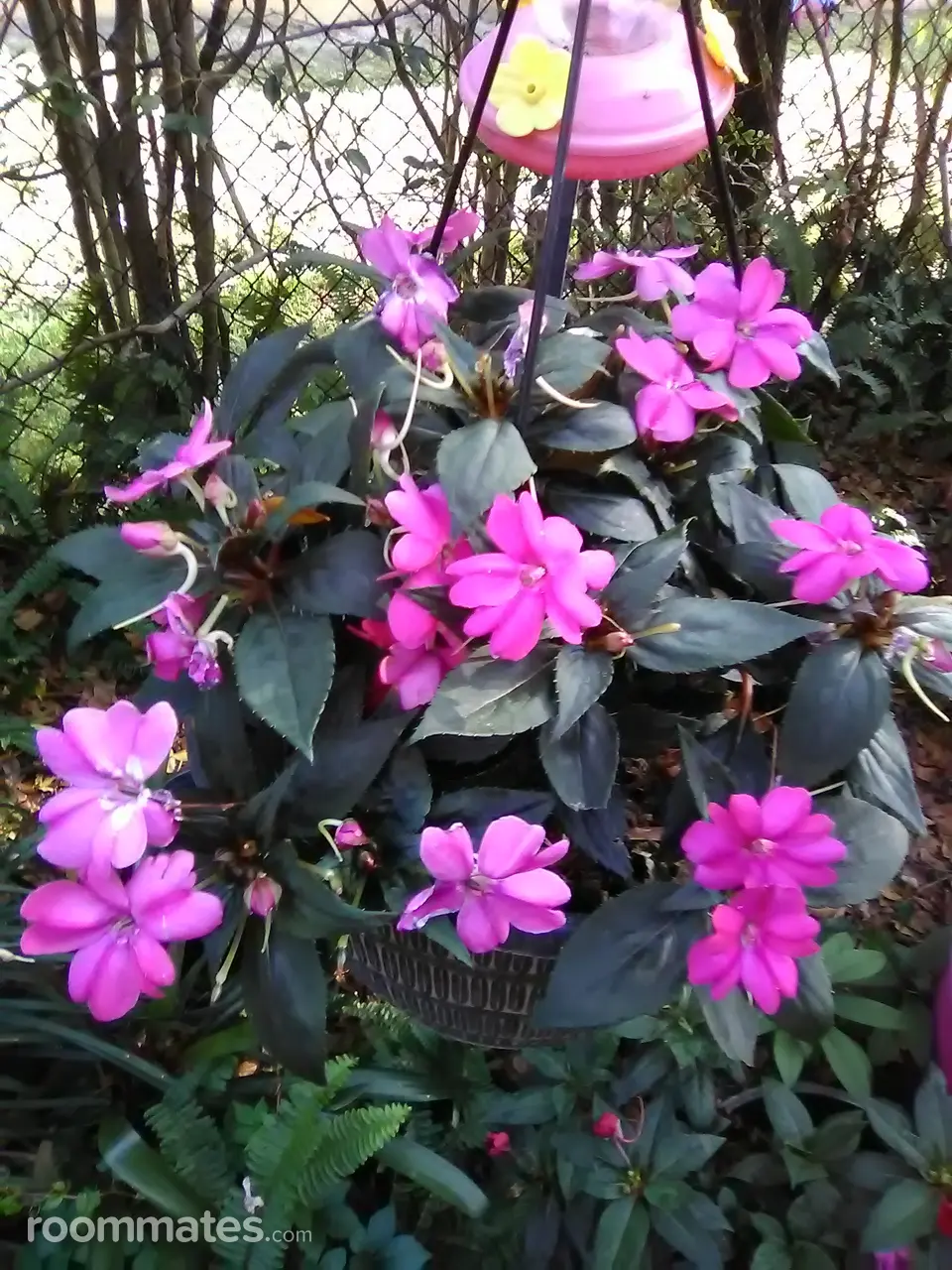 Profile photo 14 of 19