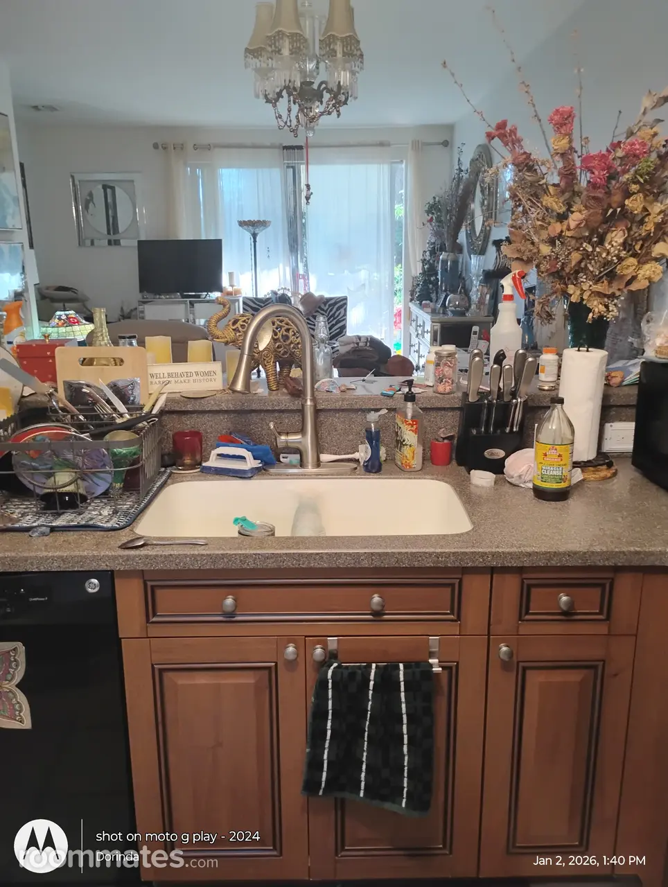 Profile photo 7 of 19