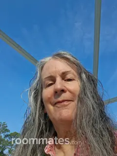 Roommate looking Ormond Beach, FL, $900