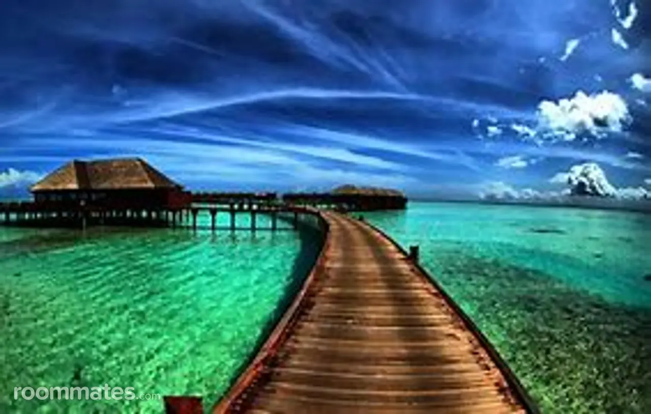 Profile photo 1 of 1