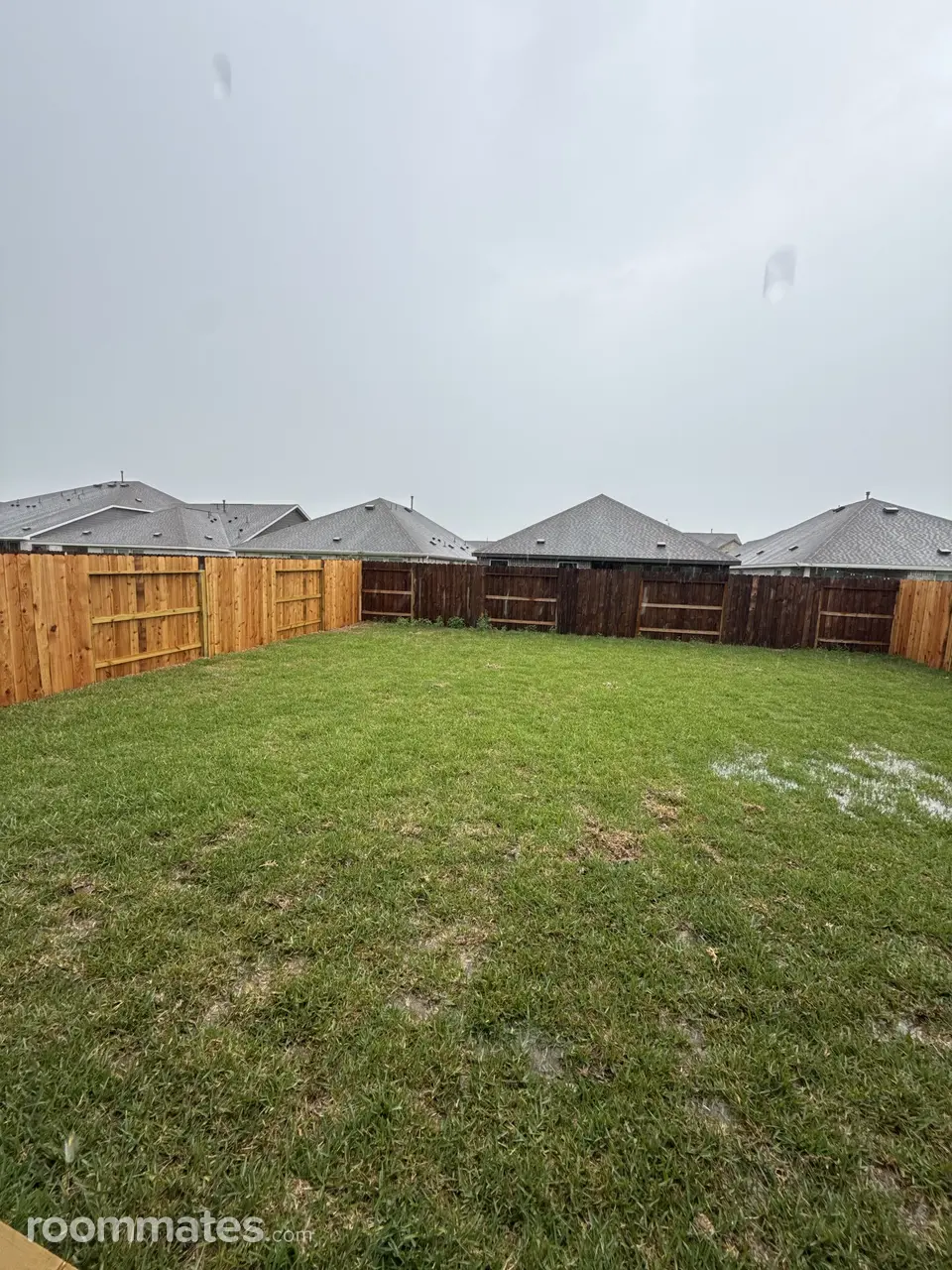 Profile photo 10 of 11