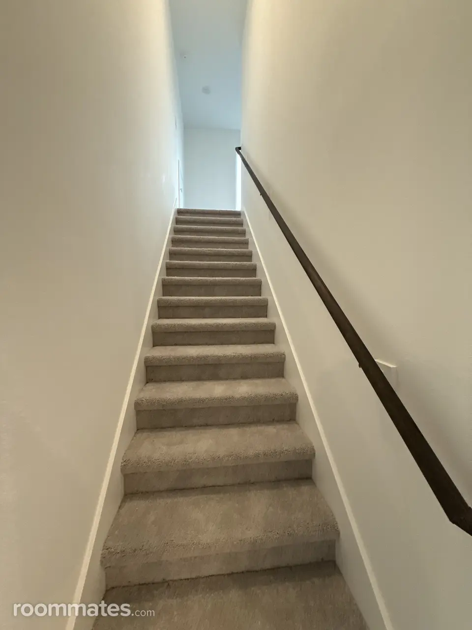 Profile photo 5 of 11