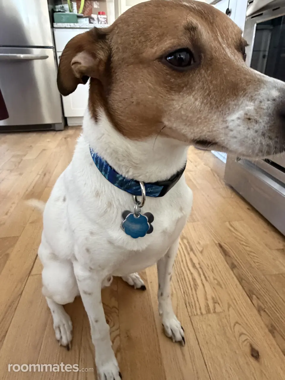 Profile photo 4 of 5