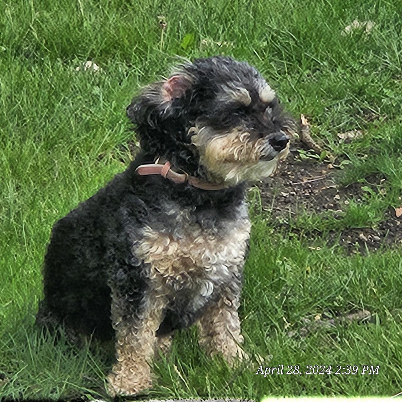 Profile photo 8 of 9