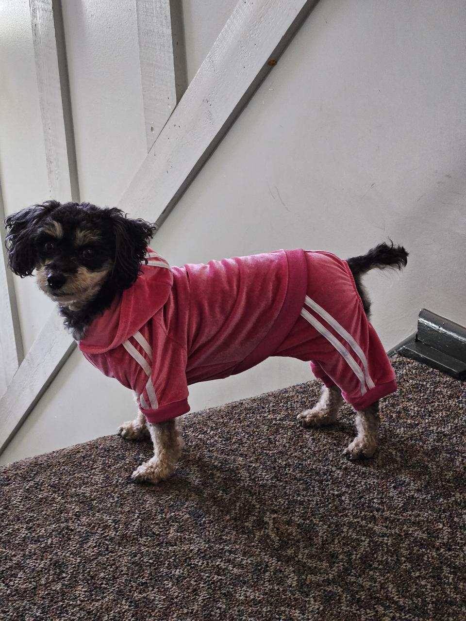 Profile photo 7 of 9