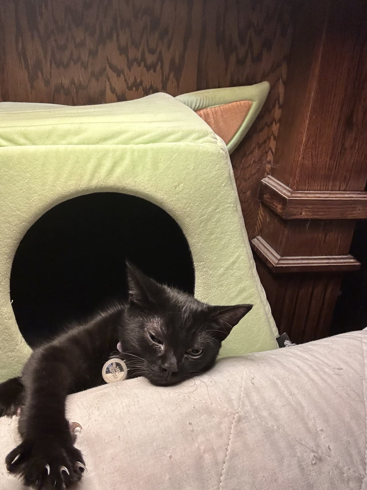 Profile photo 2 of 5