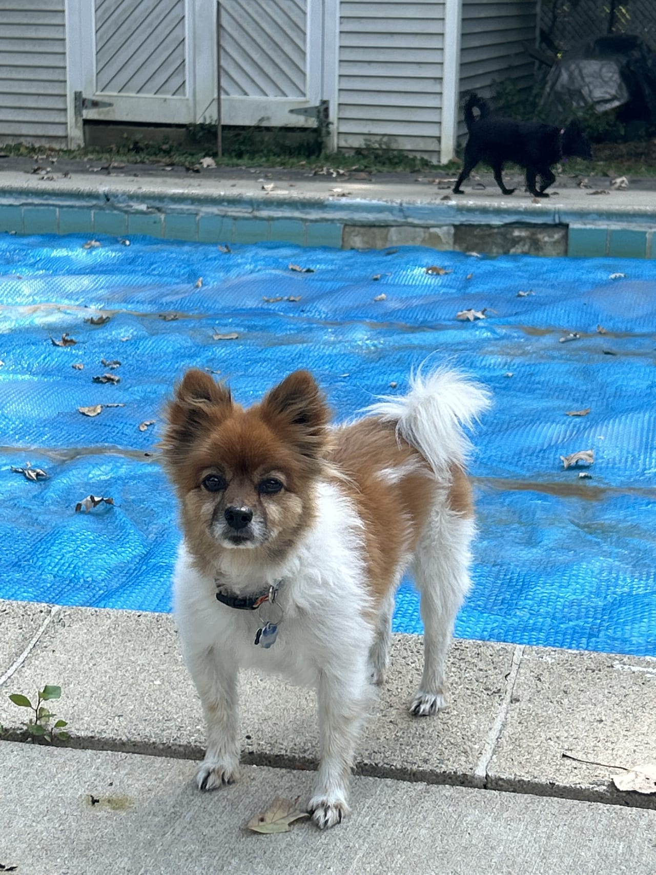 Profile photo 4 of 5