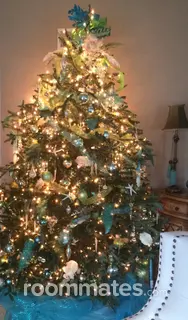 Room for rent in Oceanside, CA $1450, house