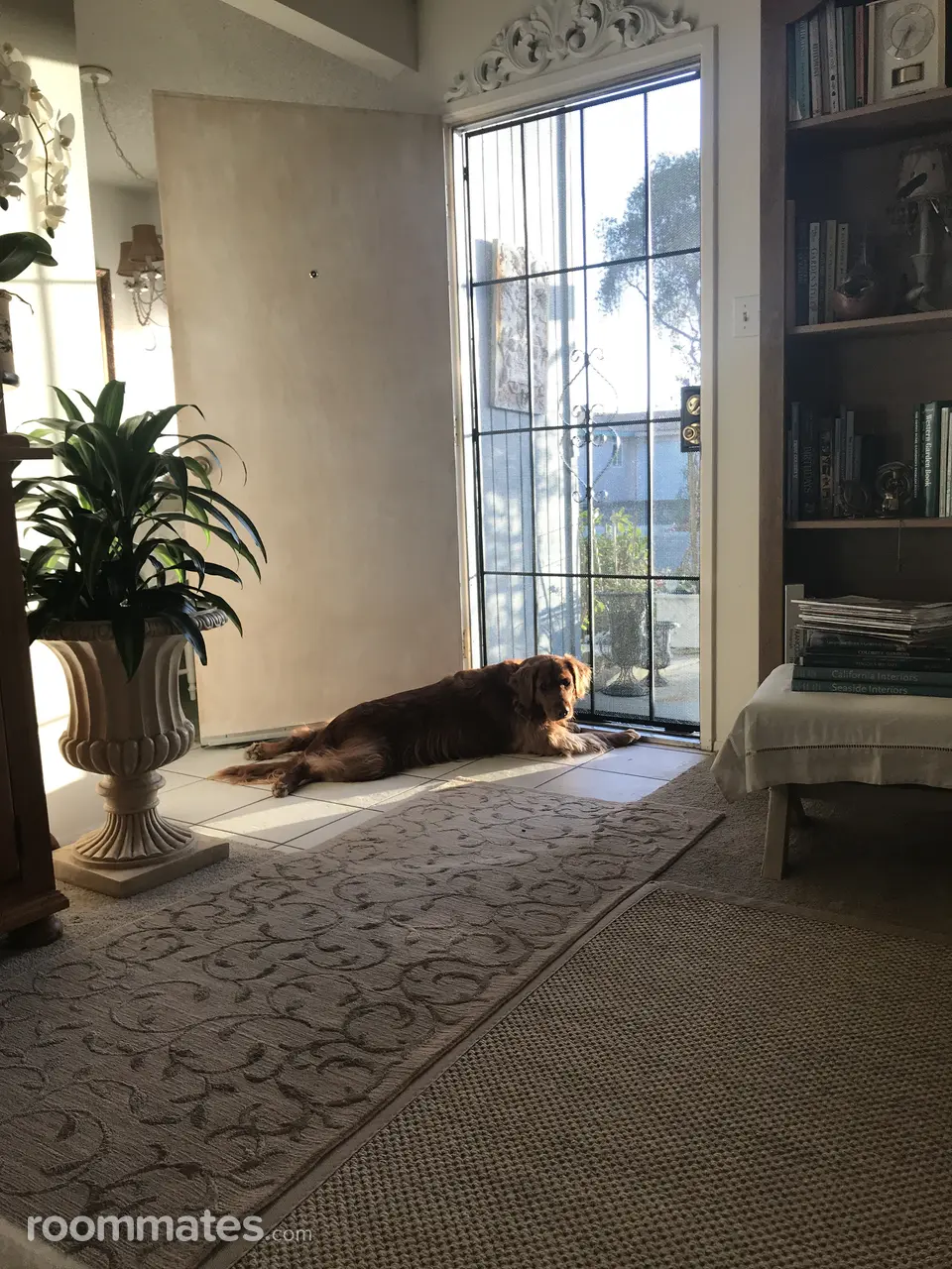 Profile photo 7 of 8