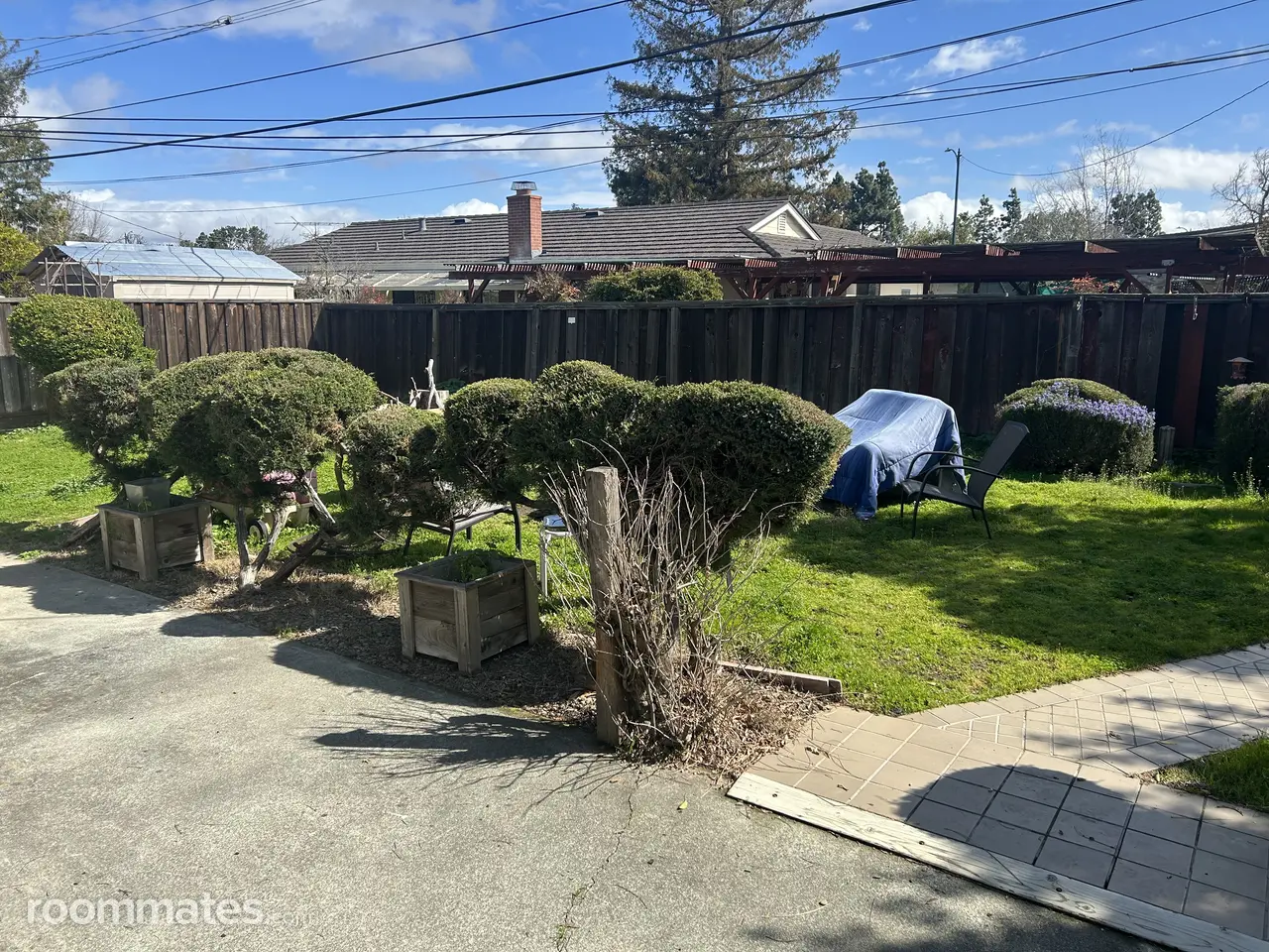 Profile photo 5 of 10