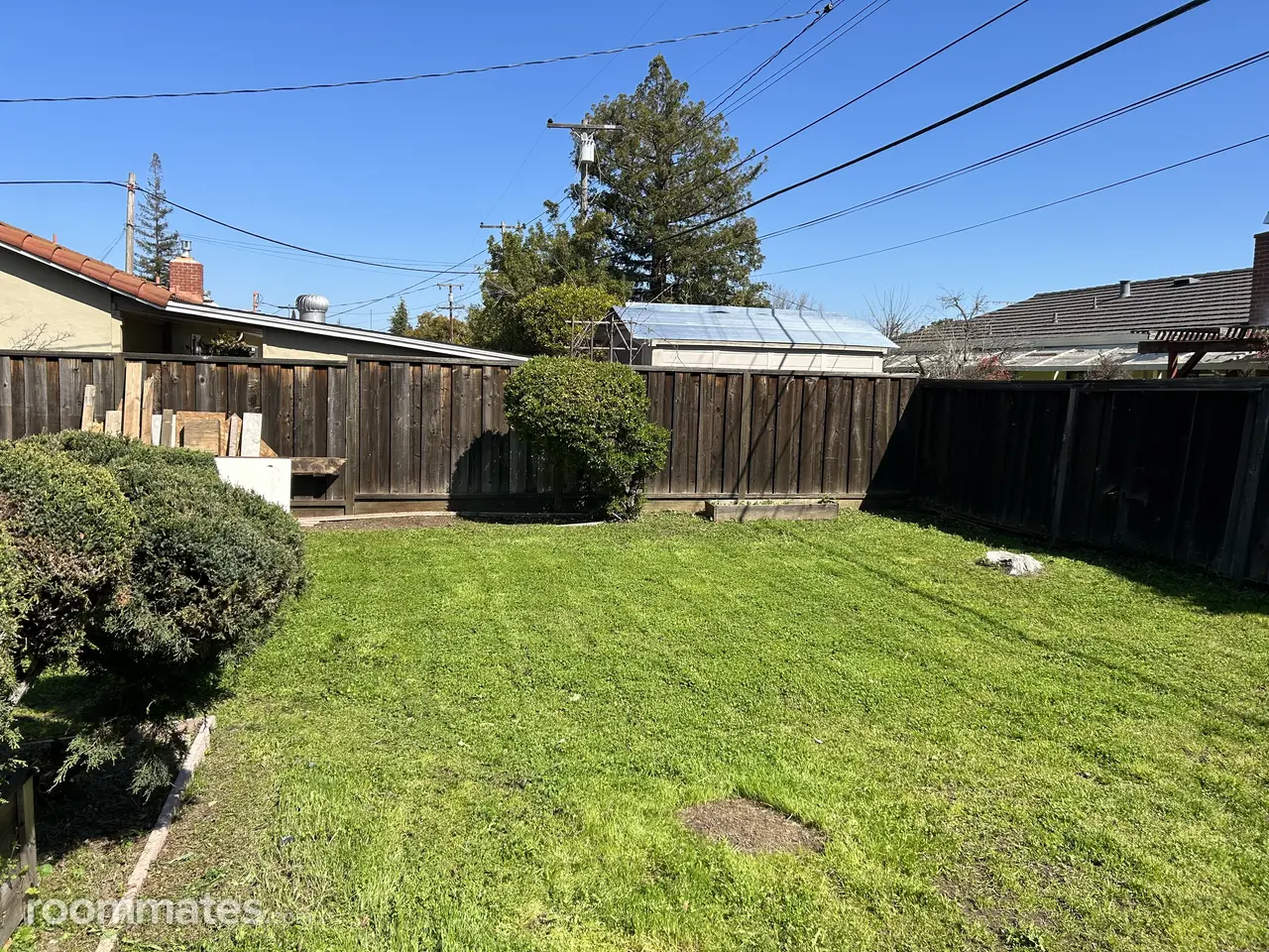 Profile photo 1 of 10