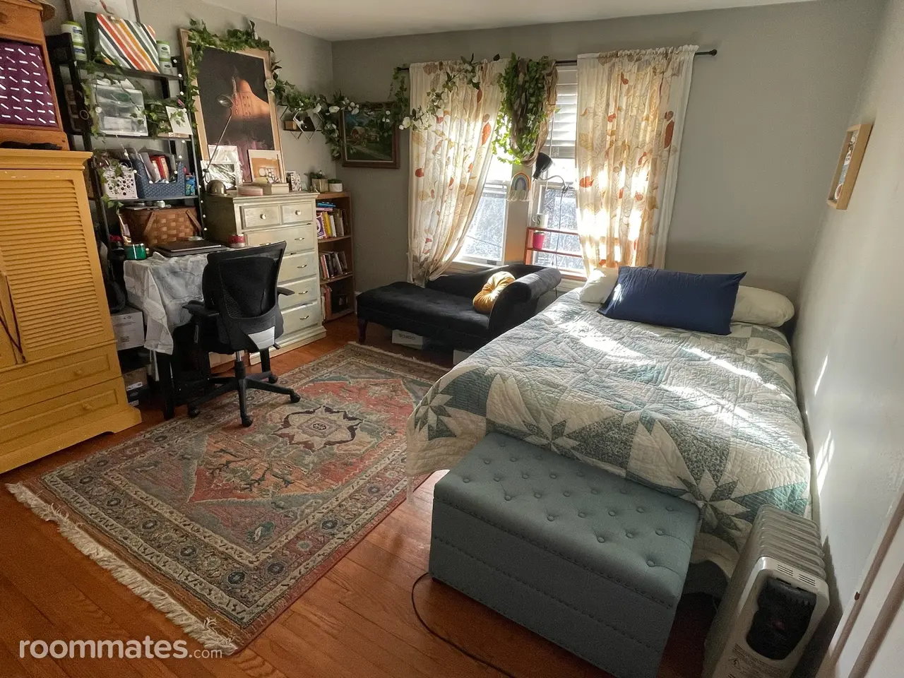 Profile photo 1 of 11