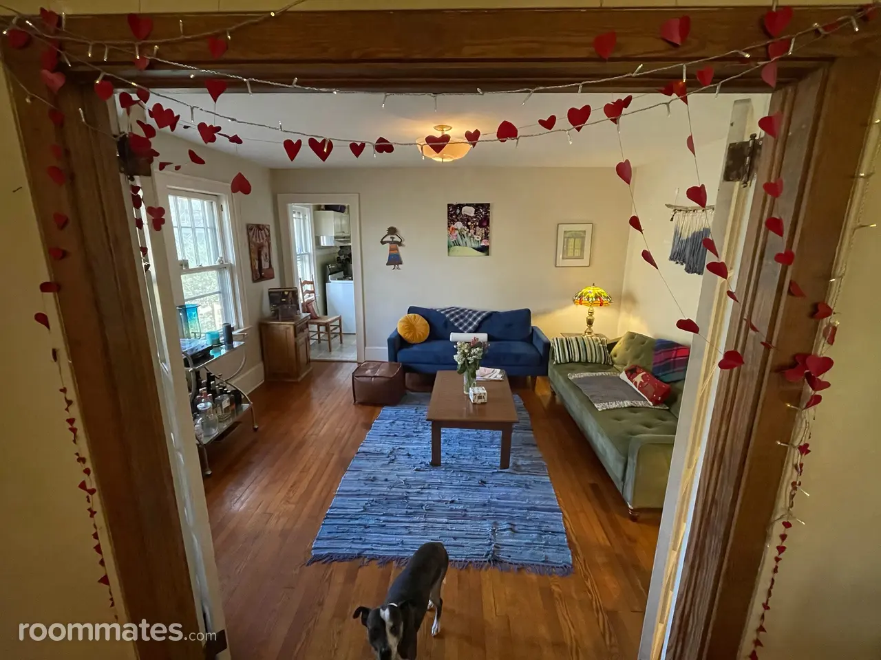 Profile photo 6 of 11