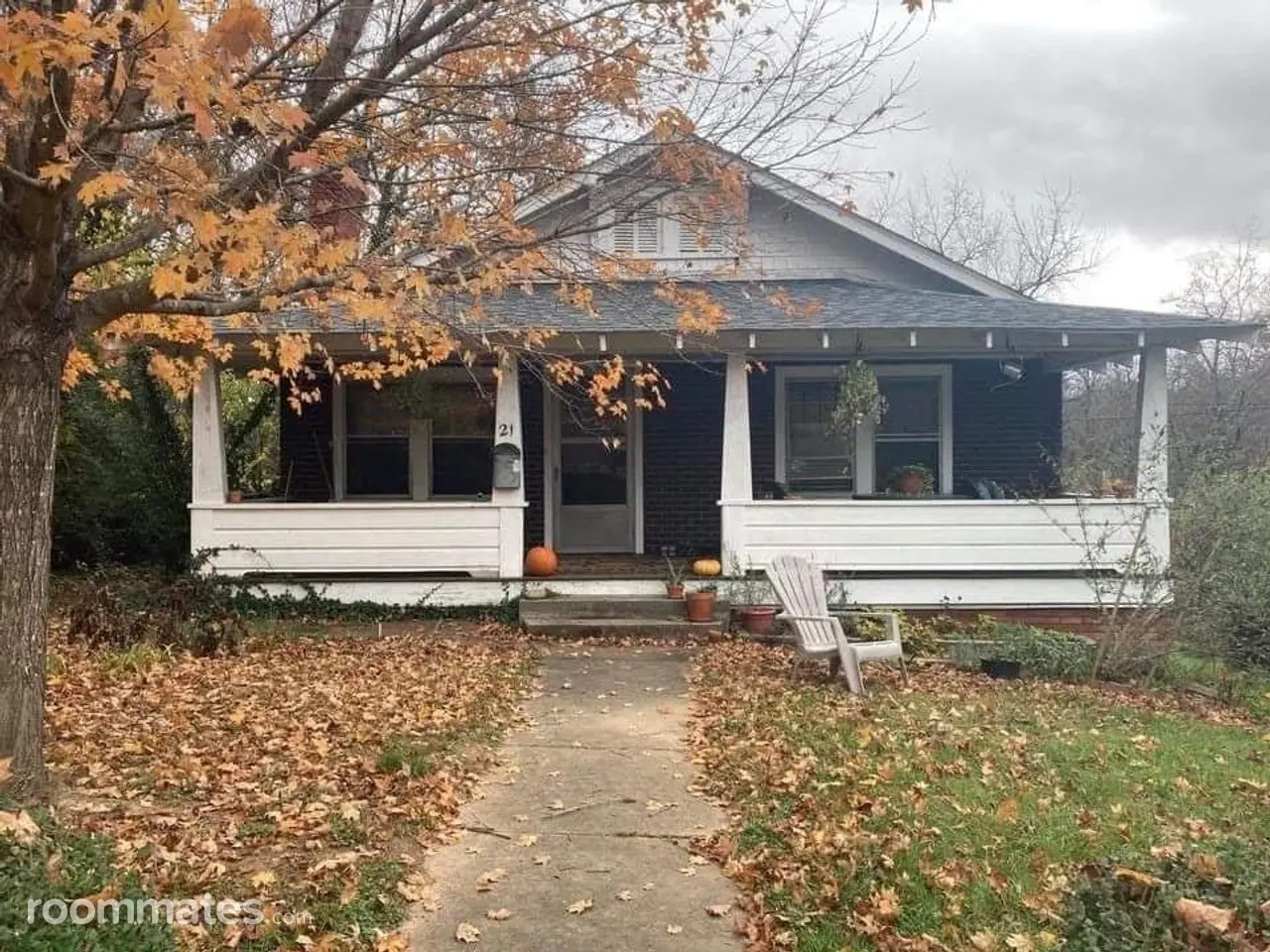 Profile photo 4 of 11