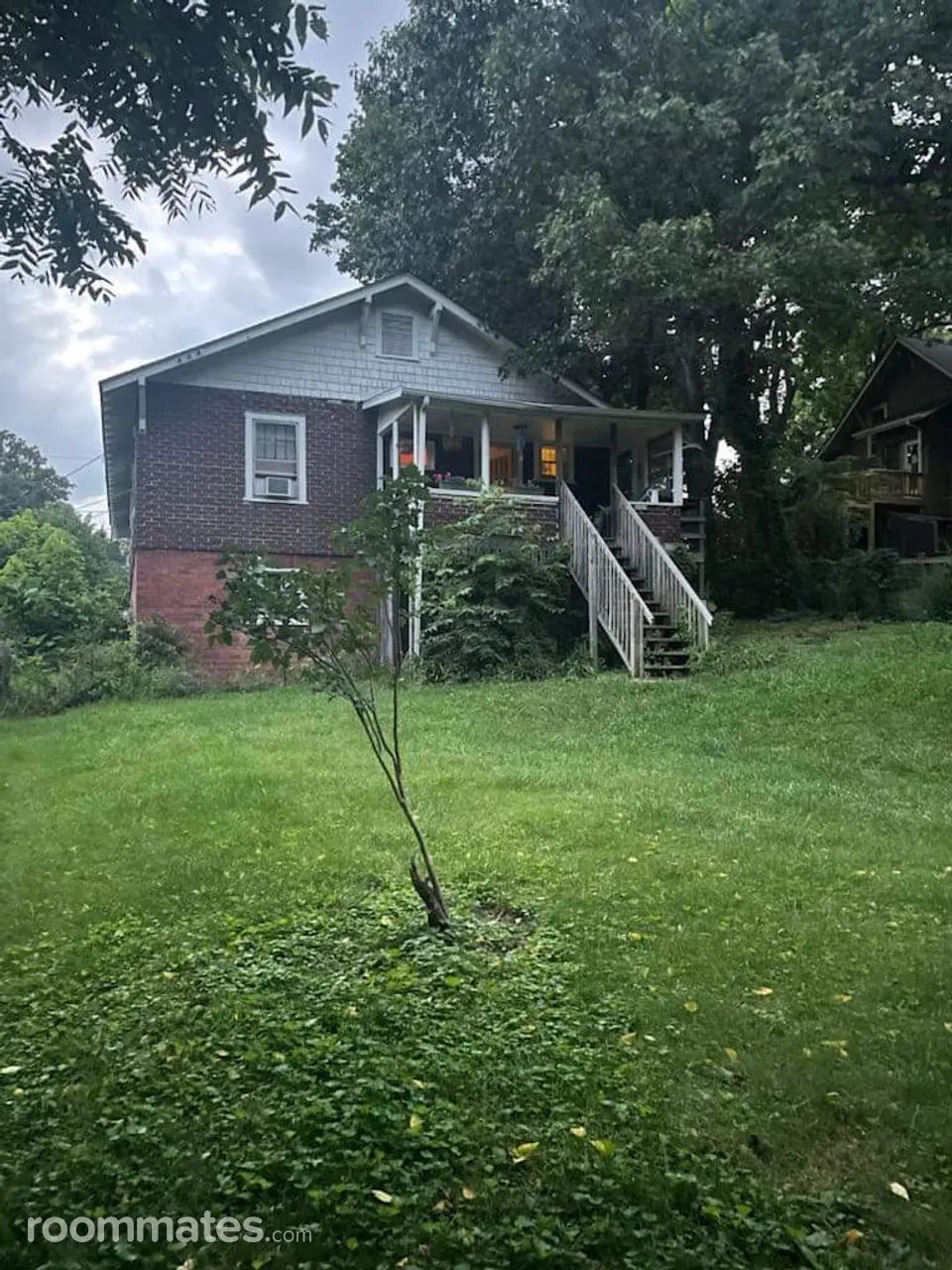 Profile photo 9 of 11