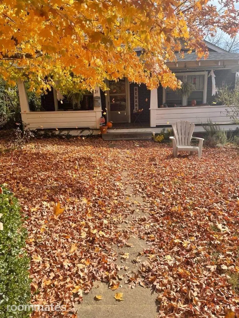 Profile photo 10 of 11