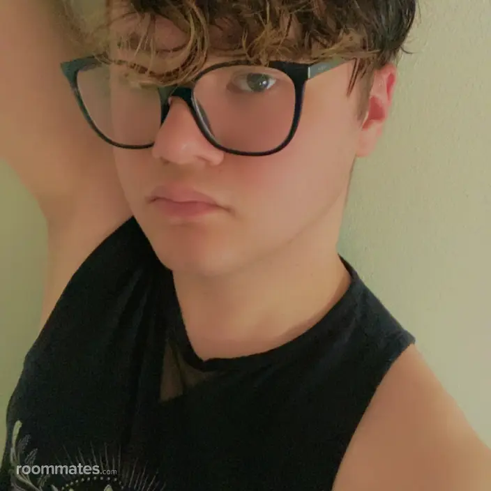 Roommate looking Phoenix, AZ, $800