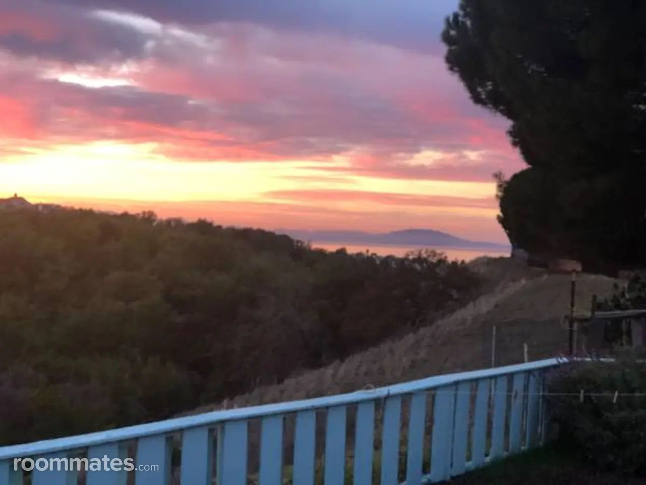 Profile photo 2 of 7