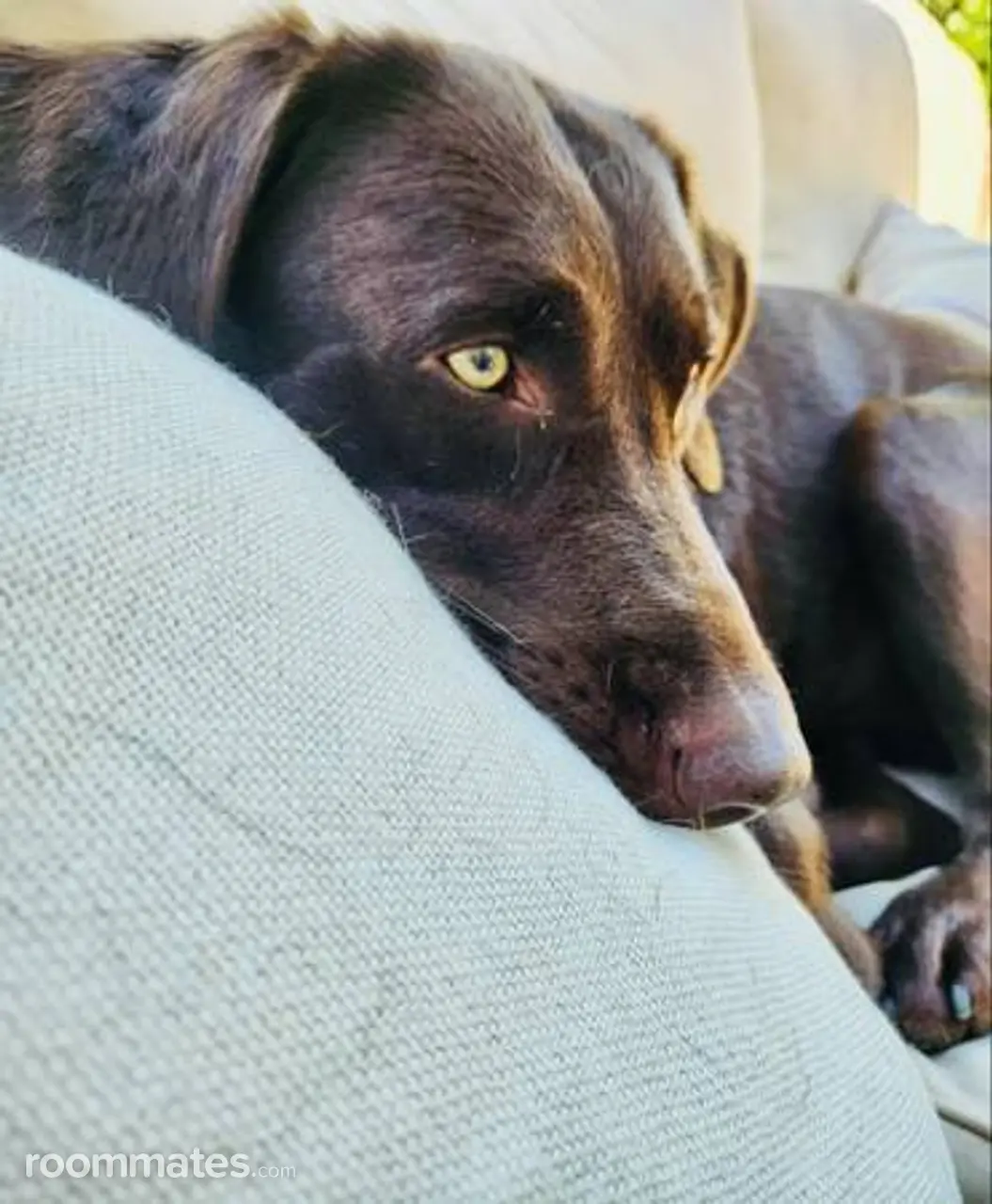 Profile photo 1 of 7