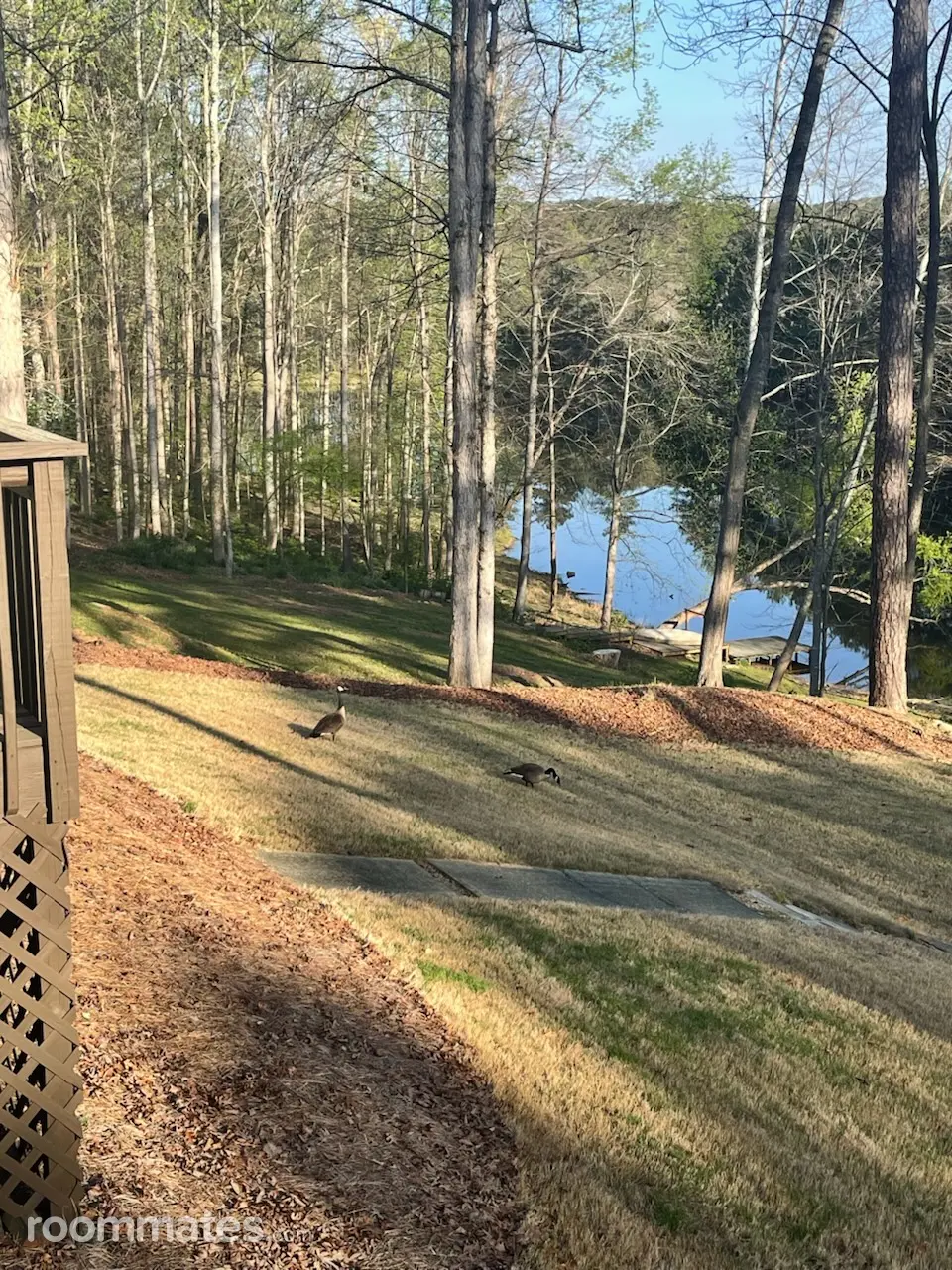 Profile photo 4 of 10