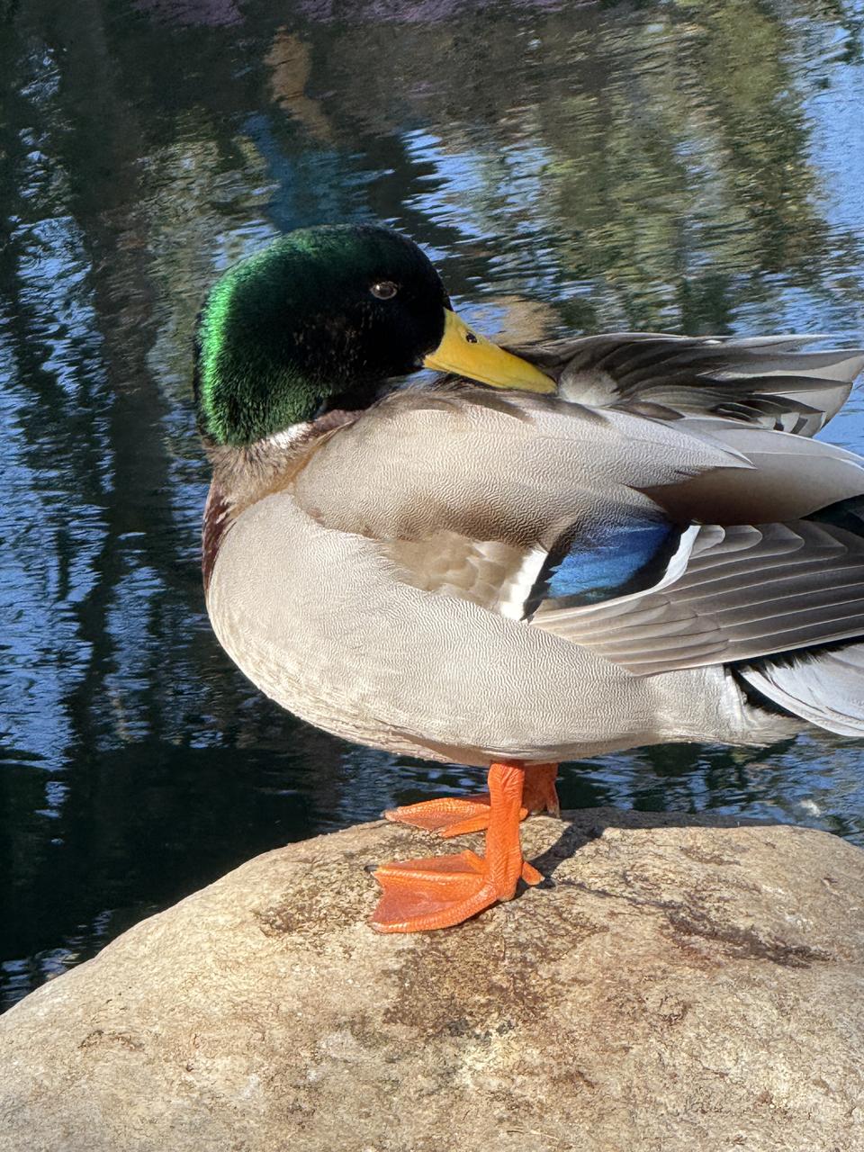 Profile photo 1 of 1