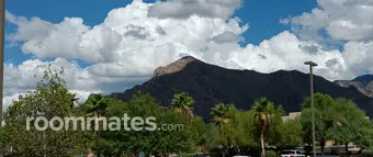 Roommate looking Oro Valley, AZ, $700