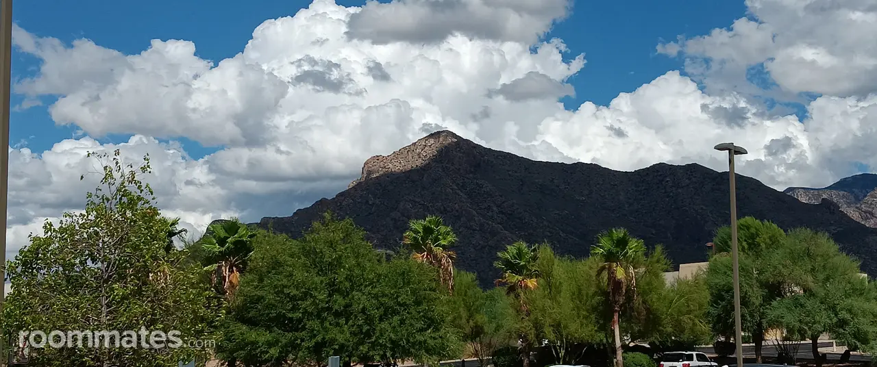 Profile photo 1 of 1