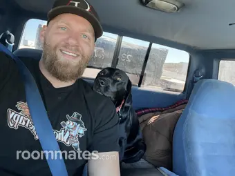 Roommate looking Gilbert, AZ, $1100