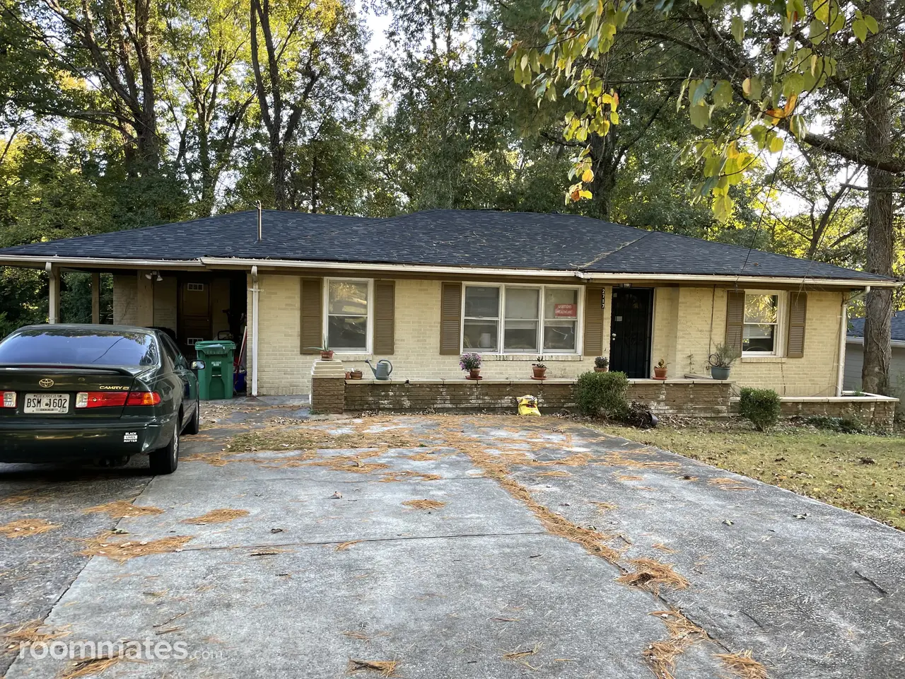 Profile photo 7 of 11